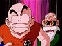 Dragonball Z (22)